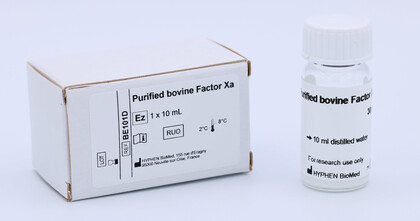 Factor Xa, bovine, purified